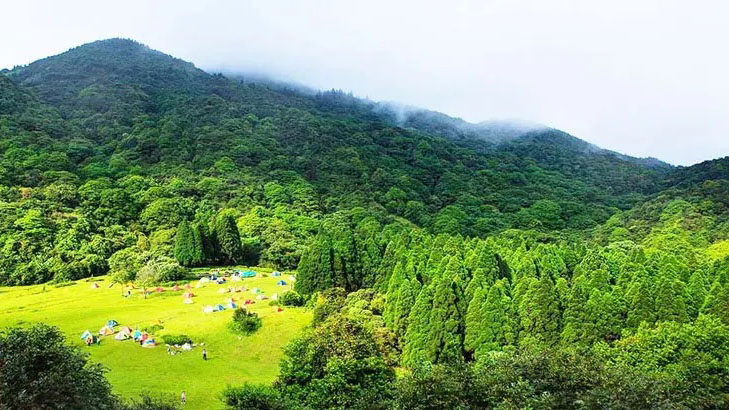 广西大容山国度丛林公园